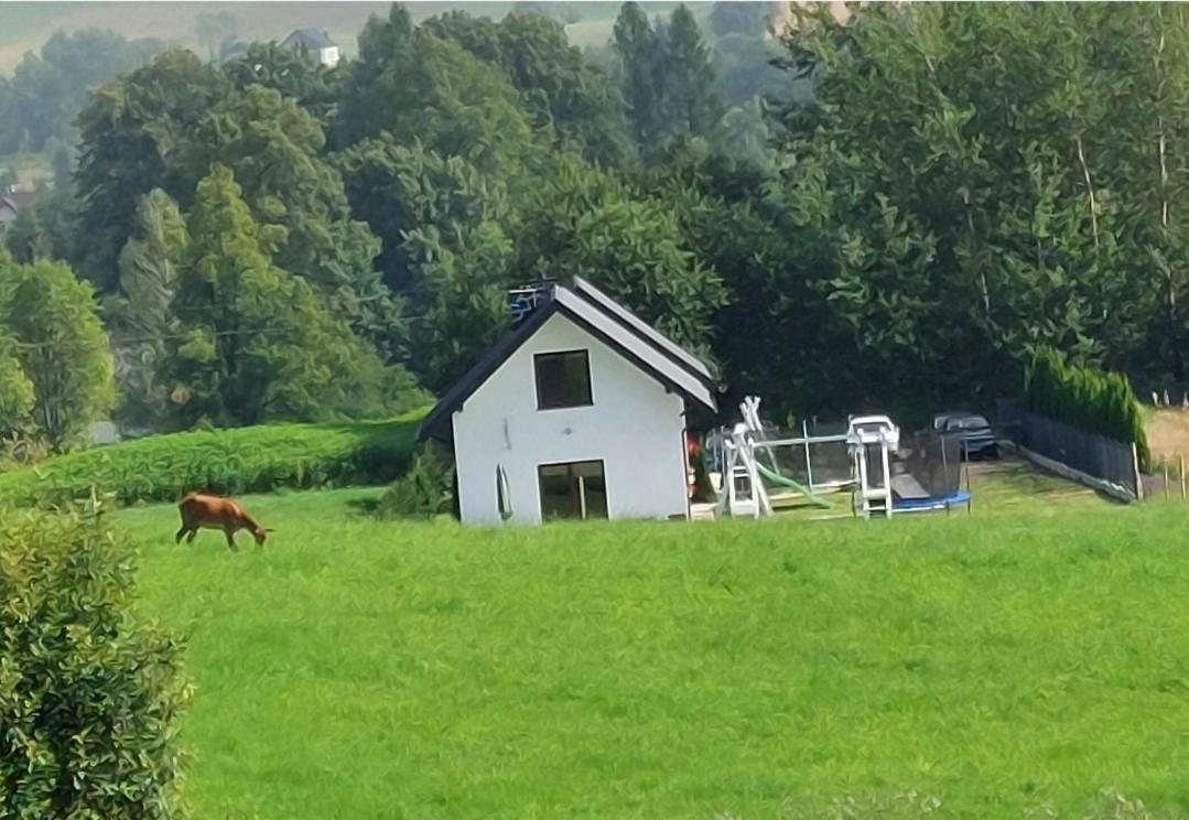 Domek Pod Holica 2 Bieszczady Ustrzyki Dolne Luaran gambar