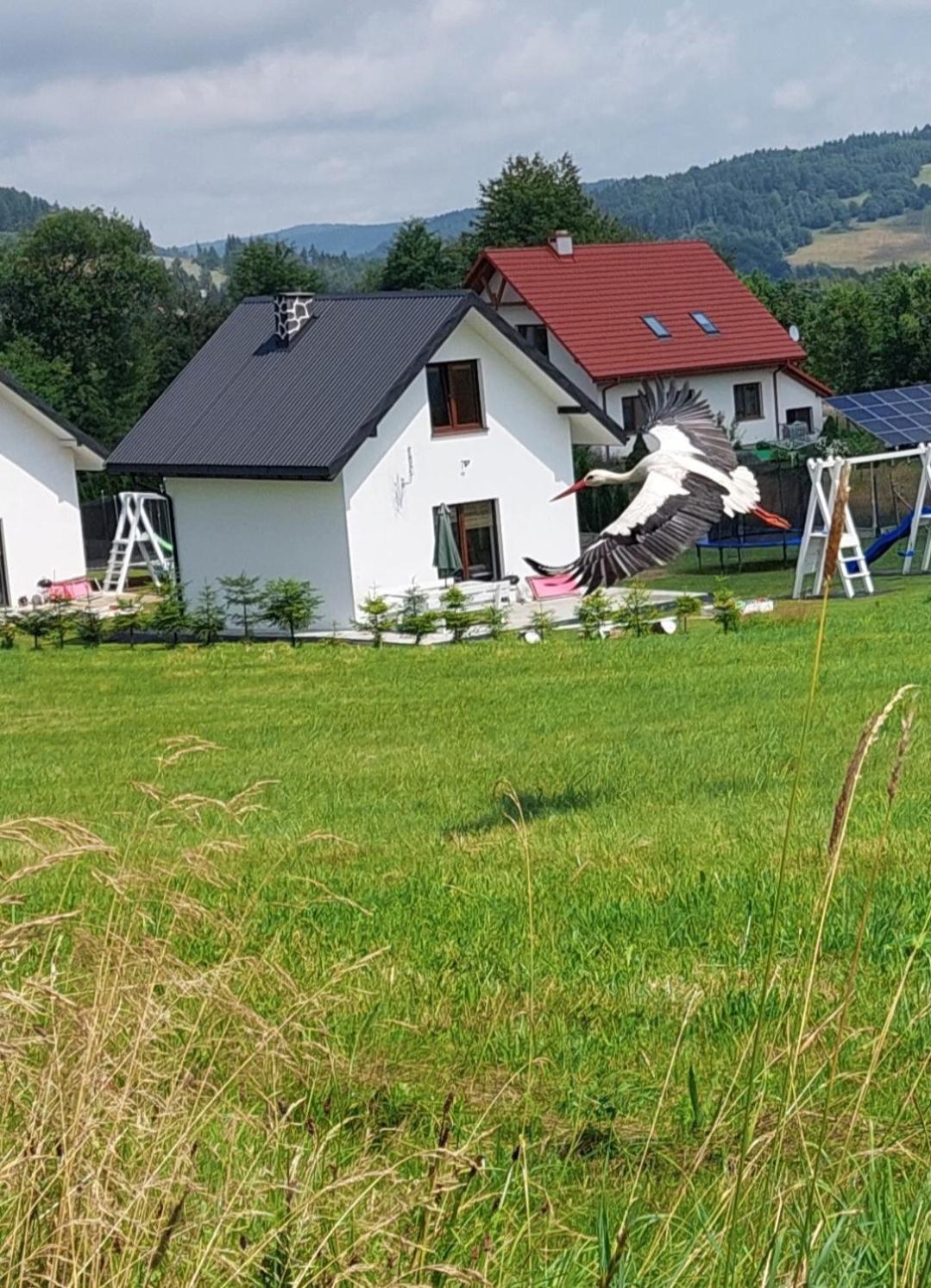 Domek Pod Holica 2 Bieszczady Ustrzyki Dolne Luaran gambar